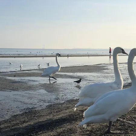 Neptun Park Seaside * グダニスク